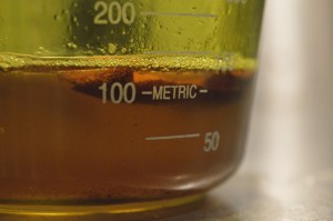 mucho fat but you're not eating it so duck is healthy