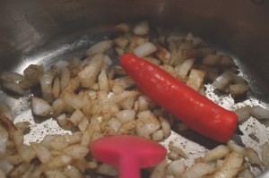 spicy, oniony goodness