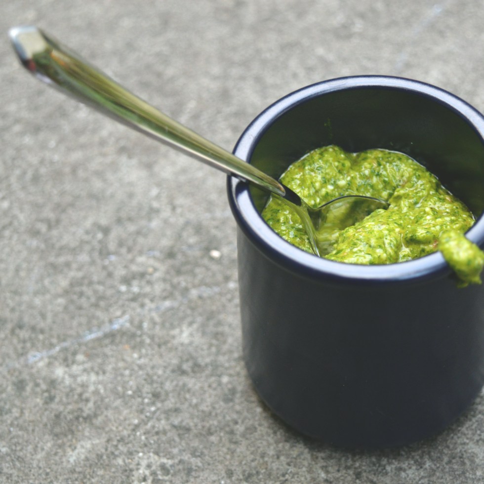 coriander pesto