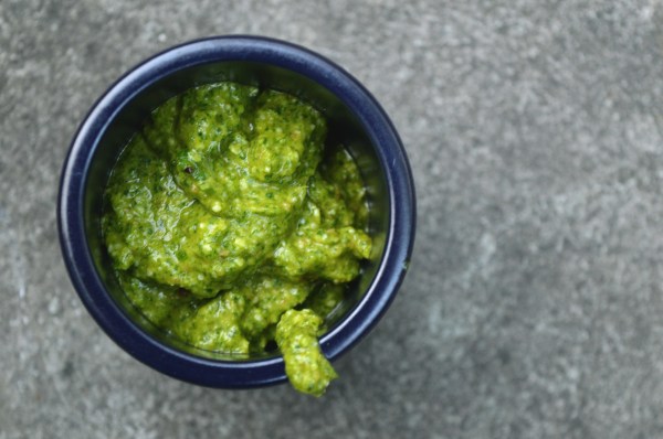 coriander pesto