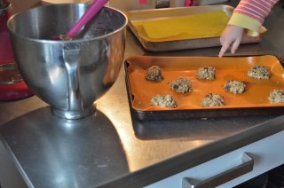 oat and raisin cookies